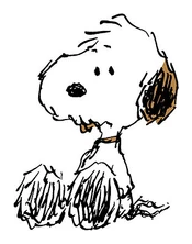 Andy sitting with his shaggy fur, ears, face, and paws all visible
